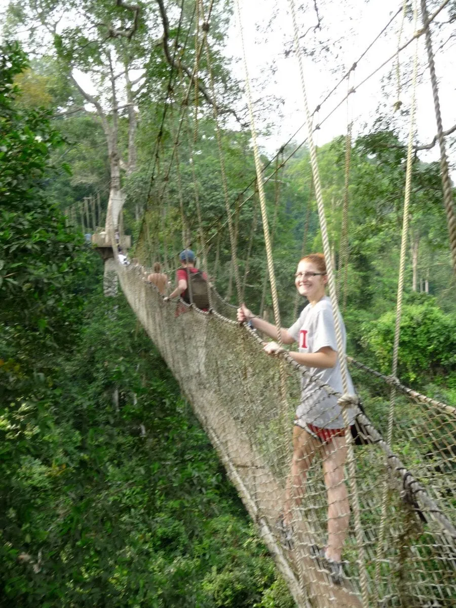 Canopy Walk